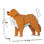 JEKCA ジェッカブロック (Sサイズ) ノヴァ・スコシア・ダック・トーリング・レトリーバー ST19PT65JEKCA