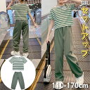 小学生 セットアップ キッズ 女の子 ボーダー Tシャツ ハーレムパンツ 2点セット 韓国 ファッション 通学 可愛い コーデ 15100