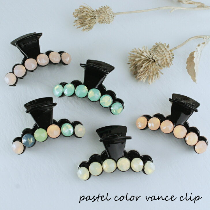 パステルカラーバンスクリップヘアアクセサリー ヘアアクセ ヘアアレンジ まとめ髪バンスクリップ ヘアクリップ シニョン パステルカラー カジュアル シンプル 韓国 送料無料