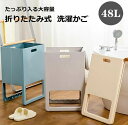 ランドリーバスケット 折りたたみ 48L 洗濯かご 洗濯カゴ 大容量 プラスチック 無地 シンプル 取っ手付き 脱衣所 脱衣かご 洗濯物入れ 収納 ランドリーボックス 軽い バスケット 新生活