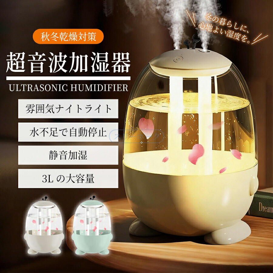 加湿器 卓上 小型 3L ツインノズル加湿器 3段調整 コンパクト お手入れ簡単 おしゃれ かわいい 透明 クリア 寝室 加湿器 家庭用 USB給電式 ミニ加湿器 オフィス 静音 空気加湿器 エアコン対策 冬 乾燥対策 プレゼント クリスマス ギフト