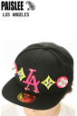 PAISLEE BRAND CAP USA VINTAGE FRAMES COMPANY USA PAISLEE BRAND RESORT LOS ANGELE...