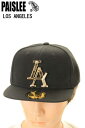 PAISLEE BRAND CAP USA VINTAGE FRAMES COMPANY USA PAISLEE BRAND LOS ANGELES GOLD【...
