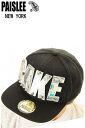 PAISLEE BRAND CAP USA VINTAGE FRAMES COMPANY USA PAISLEE BRAND US$ CAKE【ペーズリー 限定...