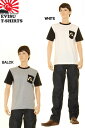 EVISU JEANS KAMOME 1 POCKET T-SHIRTS 限定商品 カモメ 1ポケットTシャツ エヴィス ジーンズ トレードマーク カモメマーク