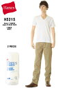 Hanes へインズ H5215 2PV ジャパンフィット ブルーパック 2枚組 Vネック Tシャツ 17SS Japan Fit Tシャツ ホワイト【hanes へインズ h5215 010 ホワイト 2パック 無地 tシャツ セットtシャツ 白T 半袖 2枚組 2枚セット VネックTシャツ 新品】