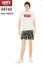 LEVI'S 54743-0005 UTILITY SHORT II MULTIBANDANA BEAUTIFUL リーバイス ハーフパンツ RELAXED F...