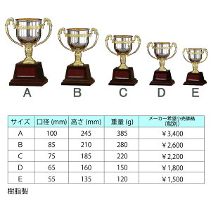 優勝カップFR-125A口径100mm【文字代無料】【送料無料】樹脂製トロフィー卒団卒業記念品ゴルフサッカー野球