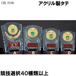 アクリル製タテ　CCL-5546D 高さ12.5cm【文字代無料】トロフィー　卒団　卒業　記念品　ゴルフ　サッカー　野球　CBL-5546D