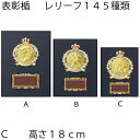 表彰楯 ATZ-3433C 高さ18cmサンレオ 樹脂製 【文字代無料】 野球 サッカー 空手 マラソン トロフィー 優勝カップ 卒団 卒業 記念品 ゴルフ(3)