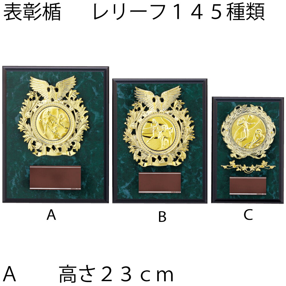 盾（記念品） 表彰楯　ATZ-3448A 高さ23cm　サンレオ　樹脂製 【文字代無料】【送料無料】野球　サッカー　空手　マラソン　トロフィー　優勝カップ　卒団　卒業　記念品　ゴルフ