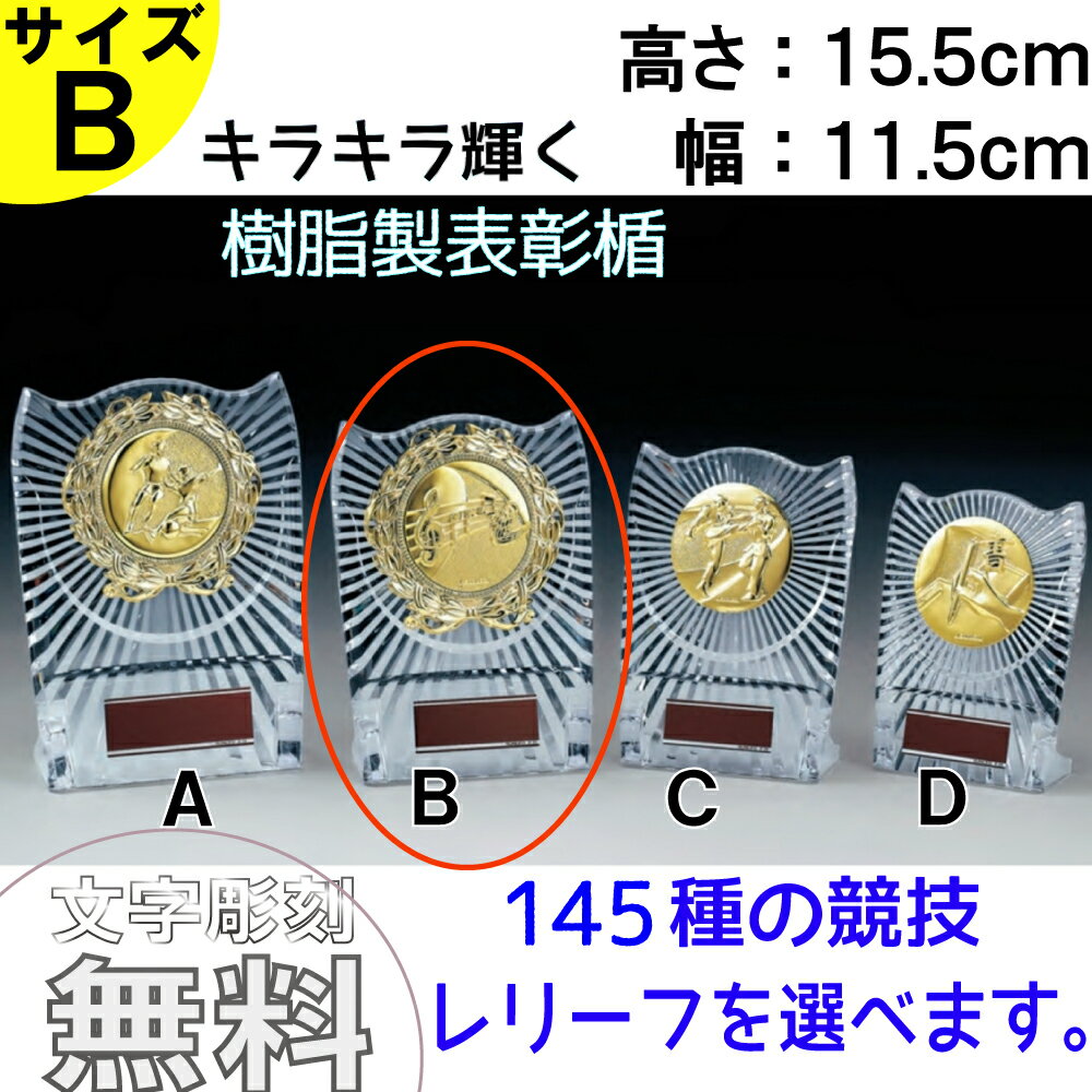 【名入無料】LMメダル （金・銀・銅） プラスチックケース直径60mm 首掛けリボン スタンドケース入 記念品 優勝 卒団 卒業 ごほうび 景品 大会スポーツ 部活 ケース付 イベント 体育祭 運動会 トロフィー