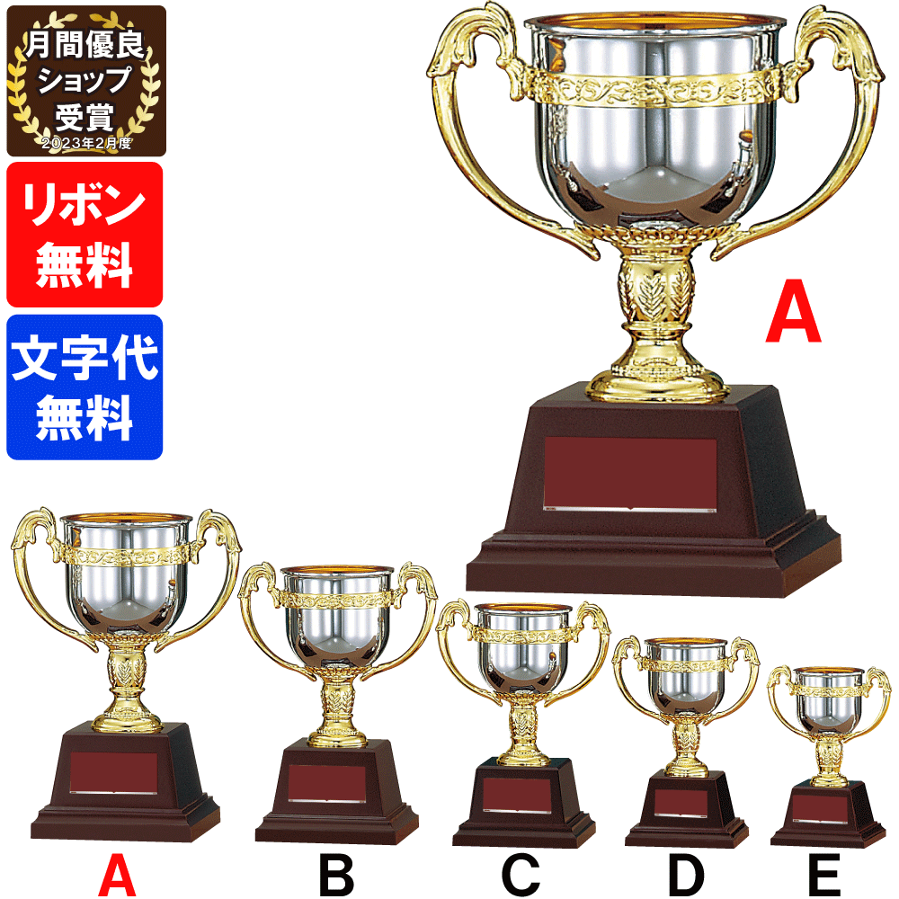 優勝カップ　FC-125A 高さ24.5cm【文字代無料】【送料無料】樹脂製　トロフィー　卒団　卒業 ...