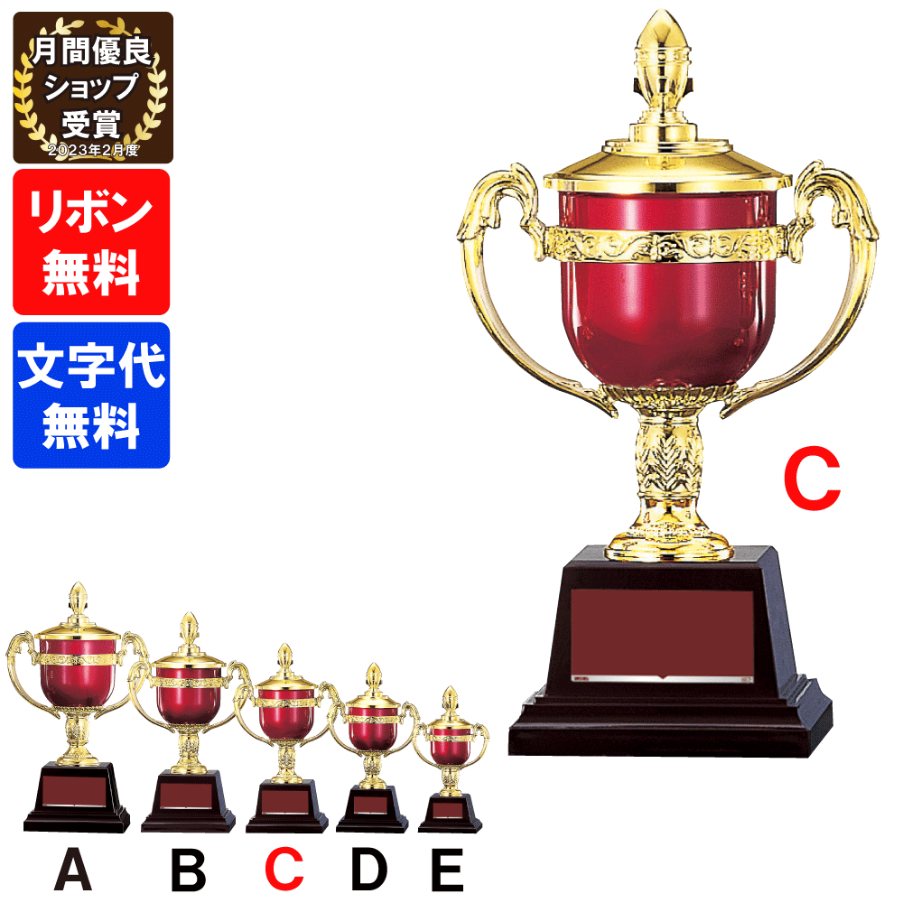 優勝カップ　FC-124C 高さ22.5cm【文字代無料】樹脂製　トロフィー　卒団　卒業　記念品　ゴルフ　サッ..