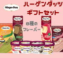 お中元 ハーゲンダッツ アイスクリーム 人気の8種のフレーバ...