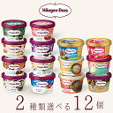 ハーゲンダッツ アイスクリーム ミニカップ 14種類から2種類選べる福袋12個(6個×2種類)セット