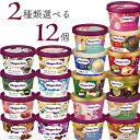 ハーゲンダッツ アイスクリーム ミニカップ 19種類から2種類選べる福袋12個（6個×2種類）セット