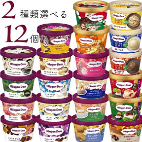 ハーゲンダッツ アイスクリーム ミニカップ 21種類から2種類選べる福袋12個（6個×2種類）セット