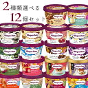 ハーゲンダッツ アイスクリーム ミニカップ 18種類から2種類選べる福袋12個 6個 2種類 セット