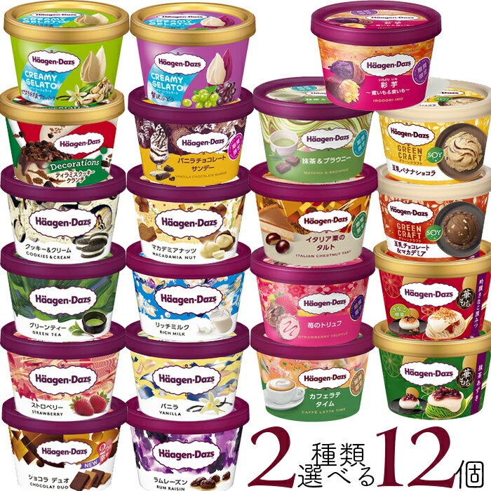 なくなり次第終了500円オフクーポン! ハーゲンダッツ アイスクリーム ミニカップ 21種類から2種類選べる福袋12個(6個×2種類)セット kcou
