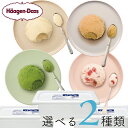 ハーゲンダッツ ジャパン株式会社 ハーゲンダッツ業務用2L 2個入り 4種類から2種類選べる