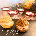 母の日 アイス ギフト ハーゲンダッツ(4種) アイスクリーム・シュー皮 (2種x2個)セット シューアイス お礼 お返し 内祝い 出産祝い お祝 puff k...