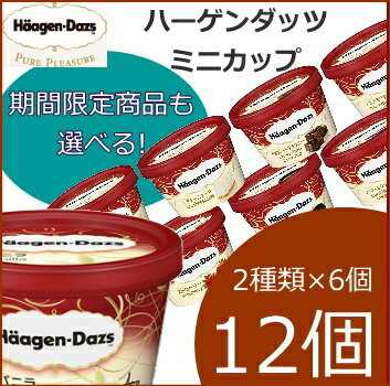 [20%OFF] ハーゲンダッツ アイスクリーム ミニカップ 14種類から2種類選べる12個（6個×2種類）セット