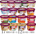 お年賀 ハーゲンダッツ アイスクリーム ミニカップ 17種類から2種類選べる福袋12個（6個×2種類）セット