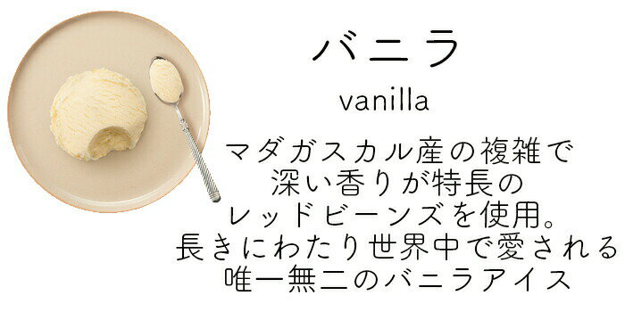 ハーゲンダッツ業務用2L 3個入り 4種類から3種類選べる バニラ グリーンティー ストロベリー ミルクチョコレート 大容量 kcou