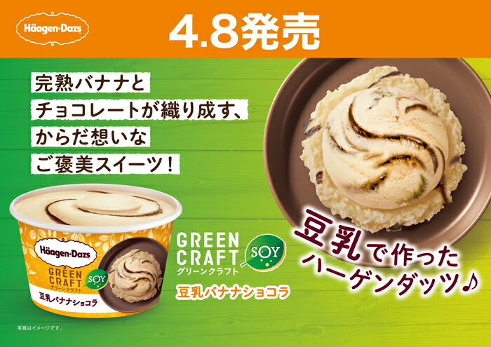 ハーゲンダッツ ミニカップ Green Craft 豆乳バナナショコラ 12個 3
