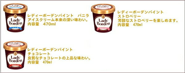 レディーボーデンパイント(470ml)6個セット(3種類×2個)アイスクリーム ギフト kcou