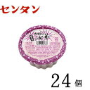 【20%OFF】センタン　古都の氷華　練乳金時（150ml）×24個 かき氷