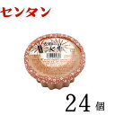 【20%OFF】センタン　古都の氷華　コーヒーフロート（150ml）×24個 かき氷