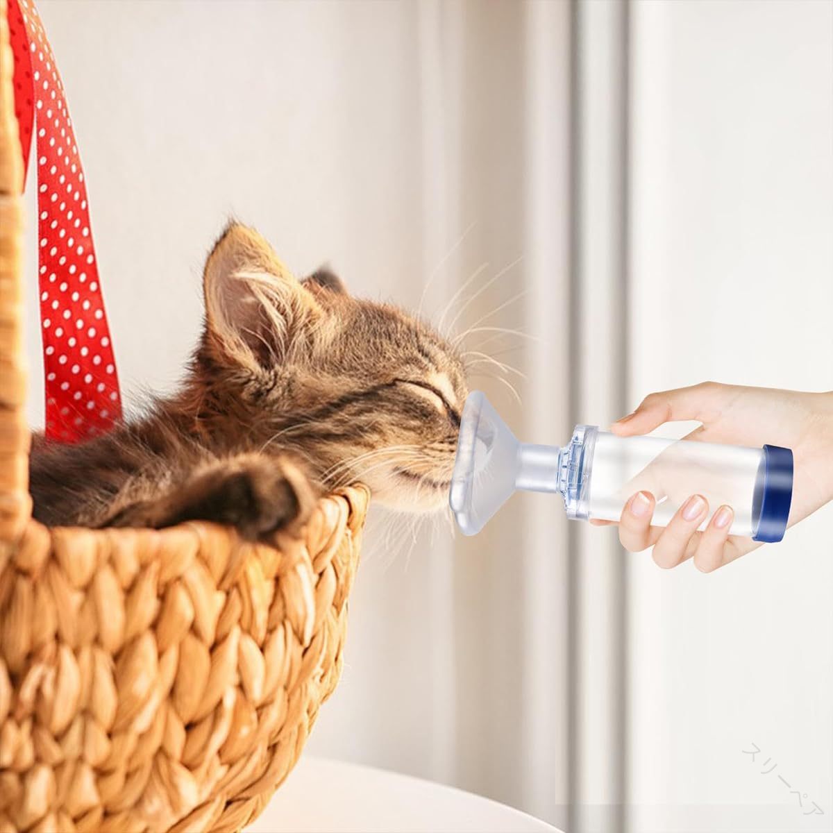 猫用吸入器スペーサー 吸入器エアロゾルチャンバー 猫用 犬用ユニバーサルエアゾールチャンバー吸入器 ..