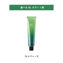 【 選べる 1剤 】 フィヨーレ BLカラー C コッパー 120g FIOLE BL COLOR