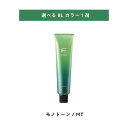 【 選べる 1剤 】 フィヨーレ BLカラー MT モノトーン 120g FIOLE BL COLOR