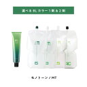 【 選べる 1剤 2剤 】 フィヨーレ BLカラー MT モノトーン 120g FIOLE BL COLOR オキシ 2000ml 6% 3% 1.5%