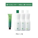 【 選べる 1剤 2剤 】 フィヨーレ BLカラー B ブルー 120g FIOLE BL COLOR オキシ 1000ml 6% 3% 1.5%