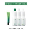 【 選べる 1剤 2剤 】 フィヨーレ BLカラー BV ブルーバイオレット 120g FIOLE BL COLOR オキシ 1000ml 6% 3%