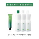 【 選べる 1剤 2剤 】 フィヨーレ BLカラー GNB グレイナチュラルブラウン 120g FIOLE BL COLOR オキシ 1000ml 6% 3%