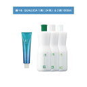 【 クオルシア 選べる 1剤 2剤 】 フィヨーレ QUALUCIA 120g FIOLE F.Color オキシ 1000ml 6% 3%