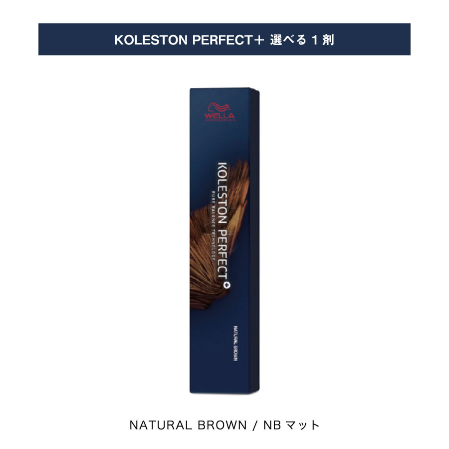 y Iׂ 1 z NB}bg i` uE / NATURAL BROWN p[tFNg vX KOLESTON PERFECT PLUS