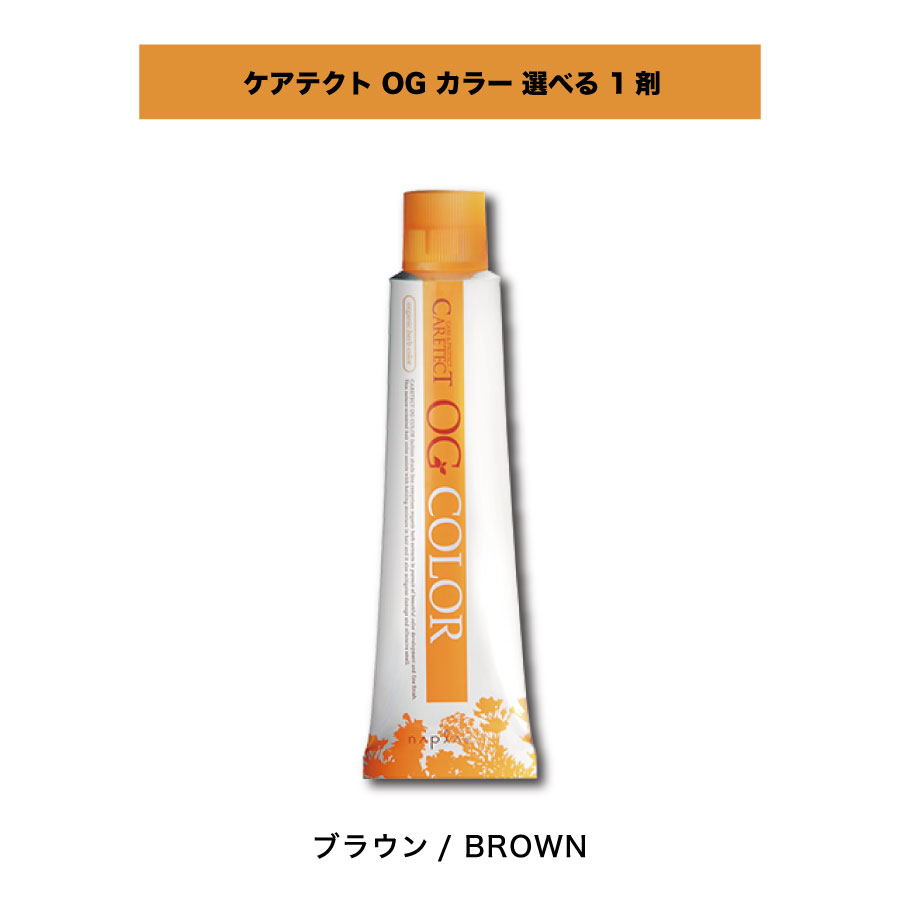 【 選べる 1剤 】 ナプラ ケアテクト OGカラー ファッションシェード OF-Br ブラウン 1剤 単品 80g
