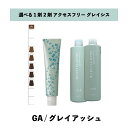 【 選べる 1剤 2剤 】 グレイシスカラー ( GRAICYS COLOR ) ナプラ アクセスフリーHB グレイシスカラー GA 80g グレイアッシュ ヘアカラー オキシ 3% 6%