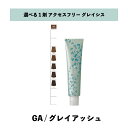 【 選べる 1剤 】 グレイシスカラー ( GRAICYS COLOR ) ナプラ アクセスフリーHB グレイシスカラー GA 80g グレイアッシュ ヘアカラー