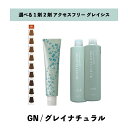 【 選べる 1剤 2剤 】 グレイシスカラー ( GRAICYS COLOR ) ナプラ アクセスフリーHB グレイシスカラー GN 80g グレイナチュラル ヘアカラー オキシ 3% 6%