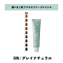 【 選べる 1剤 】 グレイシスカラー ( GRAICYS COLOR ) ナプラ アクセスフリーHB グレイシスカラー GN 80g グレイナチュラル ヘアカラー
