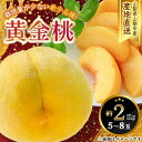 8月下旬出荷 送料無料 山梨県 山梨産 黄金桃 約2Kg 5~8玉