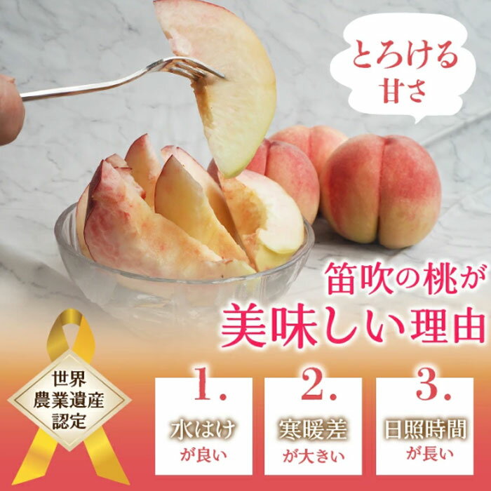 8月下旬発送 冷蔵発送 送料無料 山梨県 笛吹市産 黄金桃 約2Kg 5～8玉