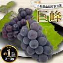 8月下旬出荷 送料無料 山梨県 牧丘産 種無し巨峰 1Kg 2〜3房